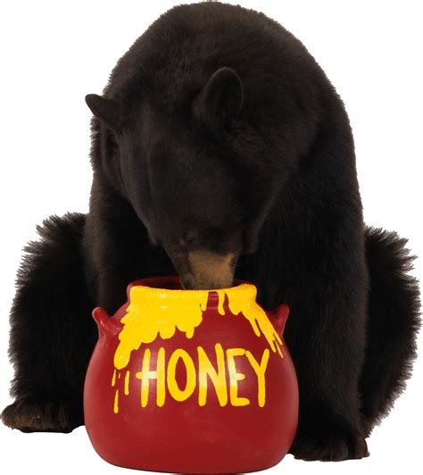 Bears honey. Things To Know About Bears honey. 